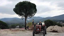Muğla’da üreticiye doğal ilaç desteği