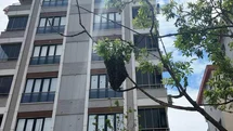 Ataşehir'de Bahar Bereketi Arılarla Geldi