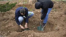 Gümüşhane Üniversitesi’nde Meyve Bahçesi Kuruldu