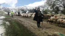Isparta'da Mahsur Kalan Çobanlar Kurtarıldı