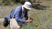 Darende'de Flora Projesi Tamamlandı