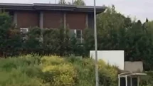 Bursa'da Aç Kalan Domuzlar Şehir Merkezinde Geziyor