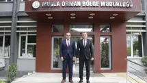 Aydın'da Kestane Ağaçları Korunuyor