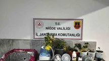 Niğde’de yasadışı kenevir yetiştirenlere operasyon