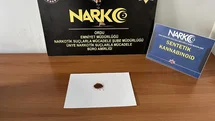 Ordu'da Uyuşturucu Operasyonu Gerçekleşti
