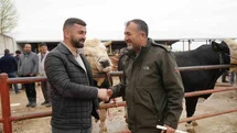 Kastamonu'da Kurban Bayramı Hareketliliği Başladı