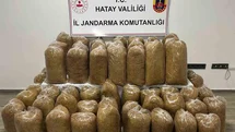 Hatay'da Jandarma Operasyonu Gerçekleşti