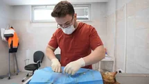 Denizli'de Sokak Hayvanları İçin Rekor Artış