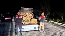 Van’da kaçak avlanan 800 kilo balık ele geçirildi