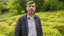 Rize'de Çay Sezonu Hazırlıkları Sürüyor