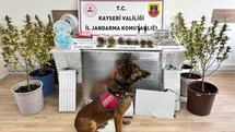 Kayseri'de Uyuşturucu Operasyonu Yapıldı