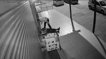 Ankara'da Yaşlı Adam Darp Edildi