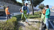 Kuşadası'nda Refüj Bakım Çalışmaları