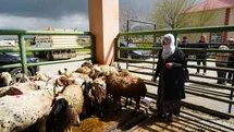 Kadın Üreticilere Destek Projesi Başladı