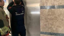Yavru Kedi Asansör Boşluğundan Kurtarıldı
