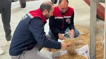 Aydın’da yem işletmeleri denetlendi