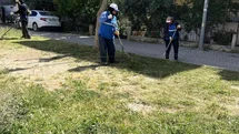 Didim'de Yeşil Alan Çalışmaları