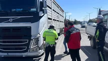 Uşak'ta Hayvan Sağlığı Denetimleri Devam Ediyor