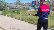 Zonguldak'ta Dernek Binasına Giren Yılan Yakalandı