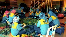 Didim'de Doğal Ürünler Satışı