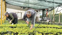 Balıkesir'de Su Tasarruflu Peyzaj Dönemi