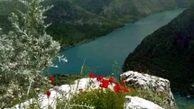 Araban Ovası'nda Bahar Renkleri