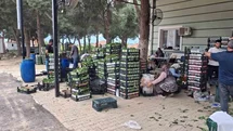 Taze Bağ Yaprağı Aile Ekonomisine Destek Oluyor