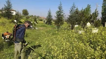Kırıkkale’de mezarlıklarda bakım çalışması sürüyor