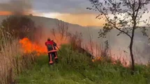 Elazığ'da Otluk Alanda Yangın Çıktı