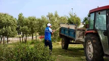 Didim'de Okul Bahçeleri Bakımda