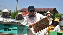 Kursiyerler Kovan Başında Eğitim Alıyor