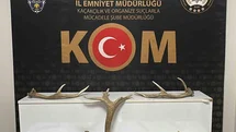 Kırşehir'de Kızıl Geyik Boynuzu Ele Geçirildi