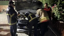 Antakya'da İtfaiye Kediyi Kurtardı