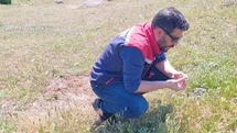 Koçarlı'da Tarımsal Zararlılarla Mücadele Devam Ediyor