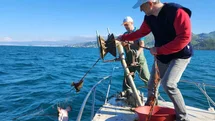 Trabzon'da Kalkan Av Yasağı Denetimi
