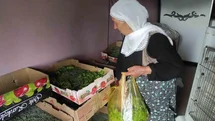 Batman'da İpek Böceği Larvası Dağıtıldı