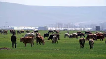 Kurban Bayramı'nda Sosyal Medya Dolandırıcılığı