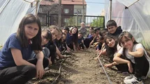 Minik Öğrenciler Salatalık Fidesi Ekti