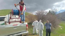 Gümüşhane'de Çekirge İstilasına İlaçlama Başlatıldı