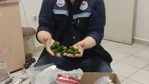 Kapıkule'de Canlı Yeşil Alg Ele Geçirildi