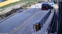 Hatay'da Sokak Köpekleri Çocuğa Saldırdı