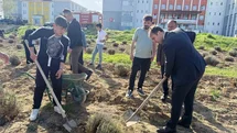 Çavdarhisar’da öğrenciler okulun tarım alanına lavanta fidanı dikti