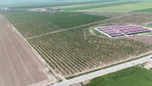 Mesaileri başlayan tarım işçileri, Amik Ovası’nda bin 100 TL yevmiye alacak