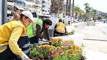 Aydın Büyükşehir’den, Kuşadası’nda bakım ve temizlik çalışması