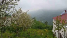 Hendek'te Bahar Manzaraları ve Sis Etkisi