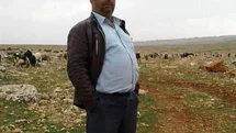 Şanlıurfa'da Traktör Kazası