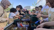 Kocaeli'de Çilek Ekim Etkinliği Düzenlendi