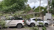 Rüzgarda Devrilen Ağaç Araçlara Zarar Verdi
