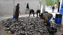 Muğla'nın İhracatı Nisan Ayında Yükseldi