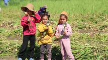 Adana'da Tarım İşçisi Çocuklar Tarlada Çalışıyor